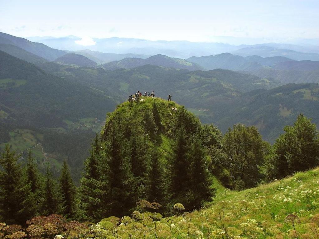 Apartmaji Srnca Cerkno Buitenkant foto