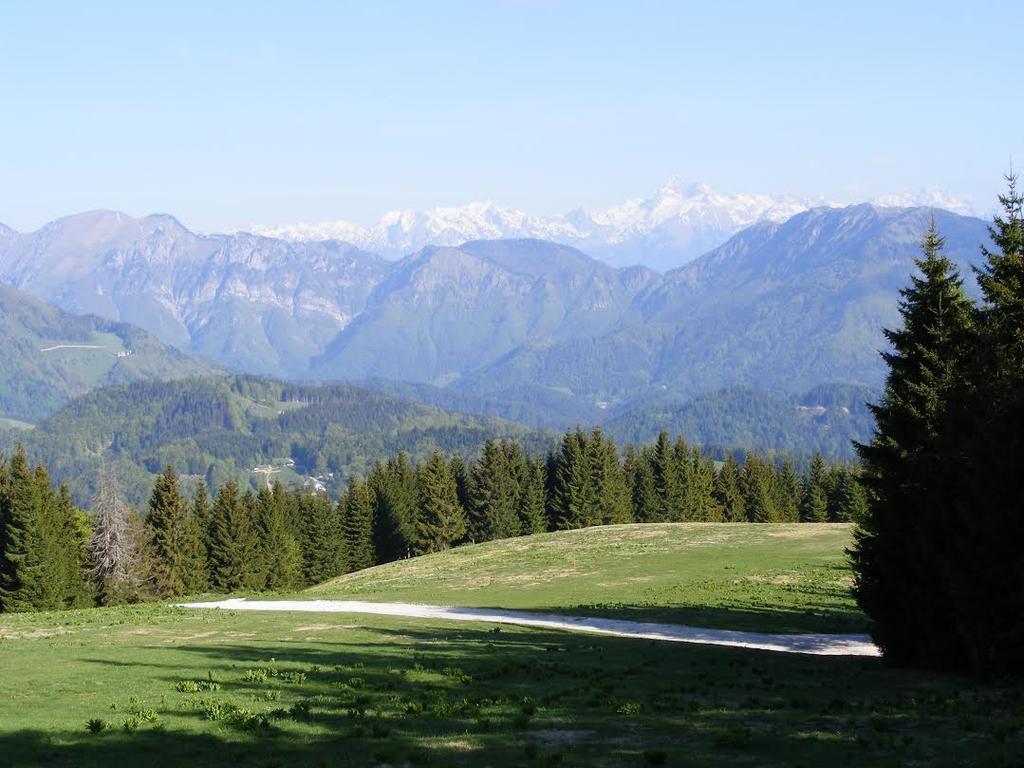 Apartmaji Srnca Cerkno Buitenkant foto