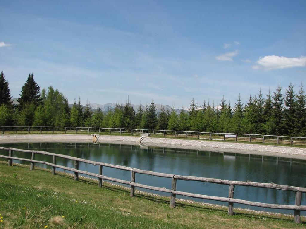 Apartmaji Srnca Cerkno Buitenkant foto